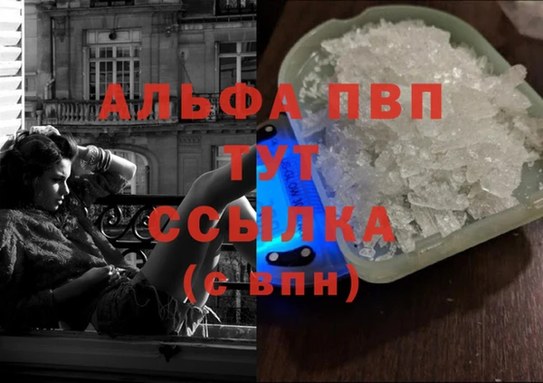 прущий лед Бородино