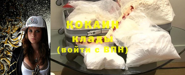 прущий лед Бородино