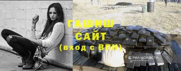 прущий лед Бородино